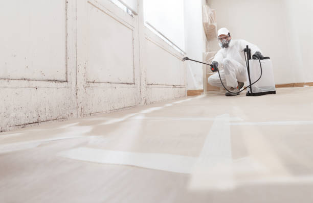 24/7 Emergency Mold Remediation experts in Jamestown, TN
