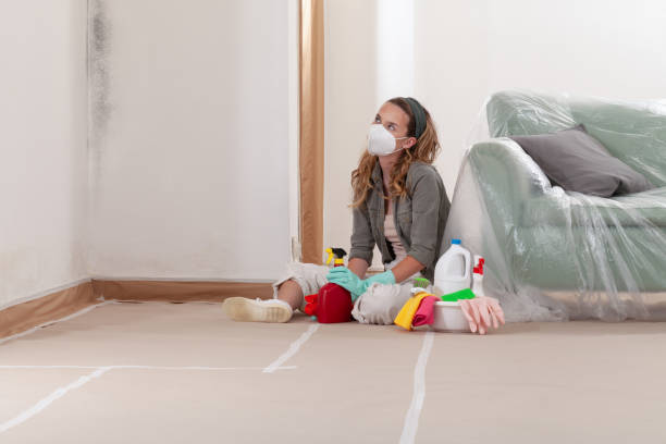Reliable Mold Remediation contractor in Jamestown, TN by 24 Hour Mold Removal