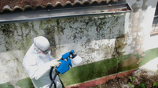 Top rated local Mold Remediation specialists in Jamestown, TN
